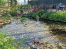 Pond next to hut