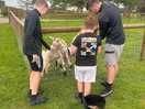 Animal feeding