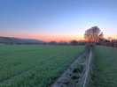 Sunset from dog walk - plenty of benches provided to enjoy it!