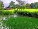 Beautiful place