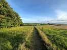Pathway to farm shop