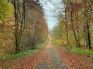 Walk from site