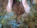 Having a paddle