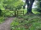 Walk
