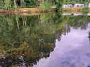 Fishing lake