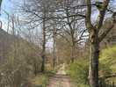 River walk