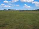 The tent field