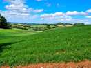 Views from site