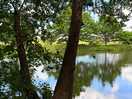 Close by to the river for lovely walks or paddle boarding