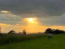 Sun rays.
