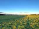 The view from dog walking field.
