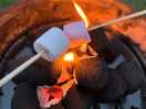 Toasting marshmallows with the kids
