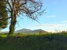 Scenery