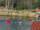 Swimming in lake
