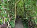 On site nature corridor