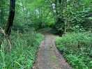 Woodland walks near site