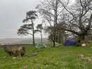 Our site