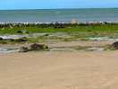 Views of the beach