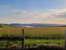 View over laugharne
