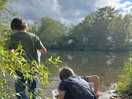 Finding tadpoles