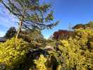 Garden views