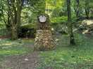 In the woods
