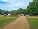 Was wonderful seeing the horses on site and they kept their distance to tents.