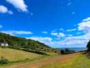 Stunning views