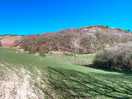 The fields and hills at the top of the dog walk.