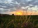 The sunset