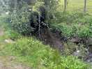 Lovely little stream