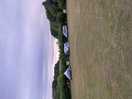 Welsh field
