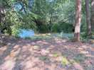 View of the lake in front of our plot