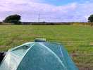 Lovely flat paddock