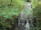 Woodland waterfall