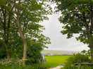 Great site with lots of space