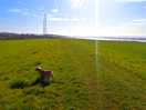 Walk along rover bank