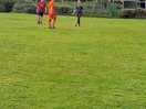 Play field