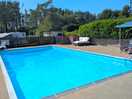 Great pool