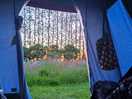 View from tent
