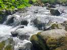 The river