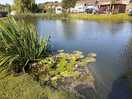 View across the pond