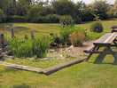 Pond