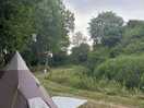 Springfield woods