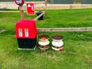Fire pits and extinguishers
