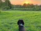 Stunning sunsets from the camping field.
