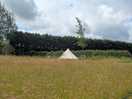 Field