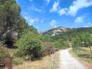 Easy and beautiful walks