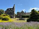 Much wenlock priory