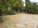 La cour